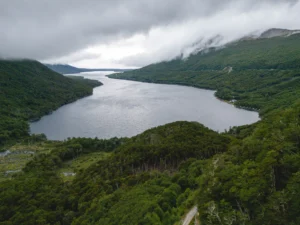 DJI_20240204111314_0051_D