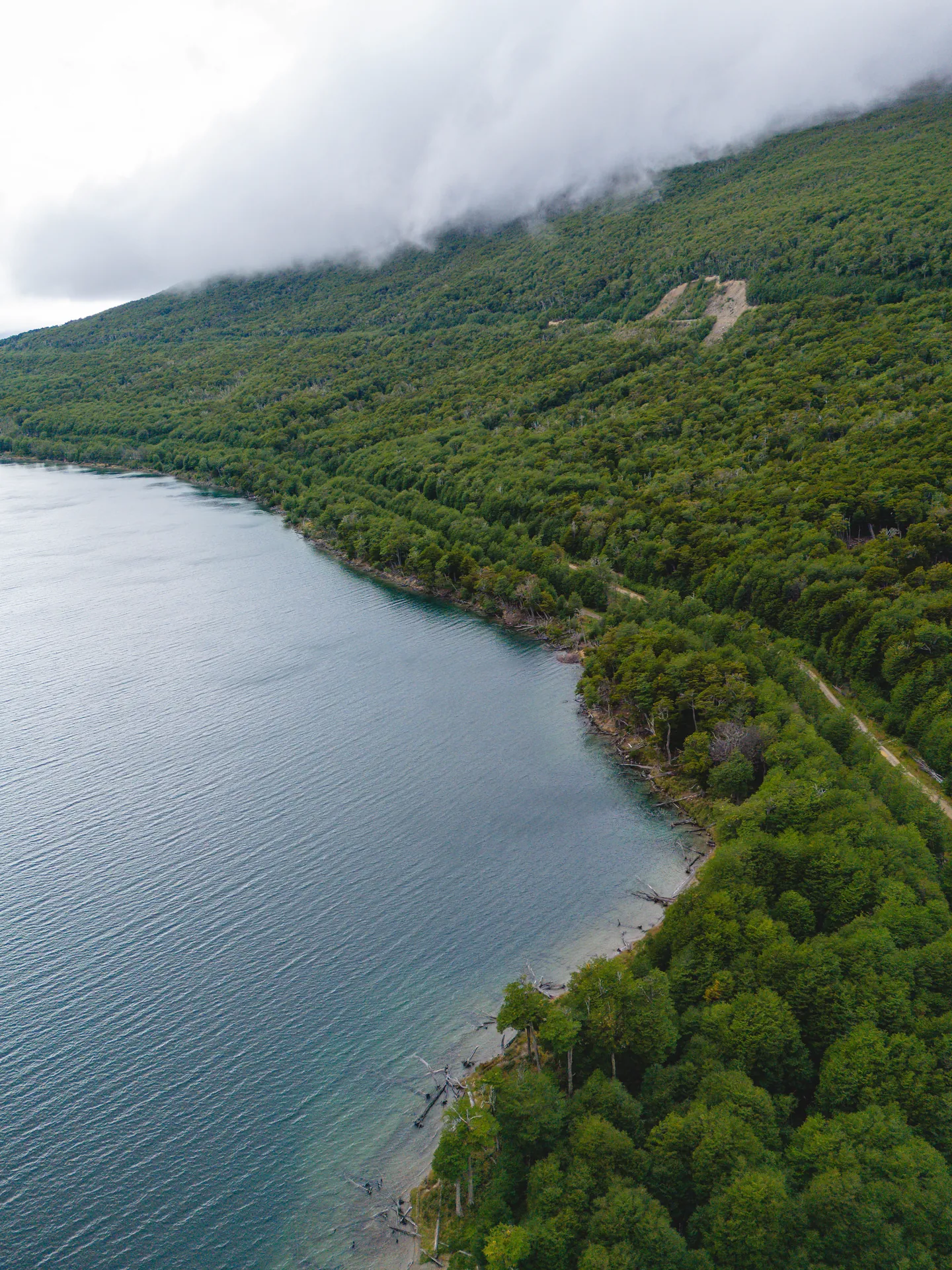 DJI_20240204115719_0087_D